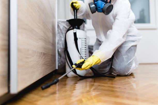 Best Termite Control Services  in Lake Bluff, IL