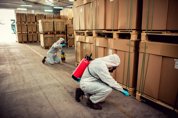 Best Cockroach Control Services  in Lake Bluff, IL