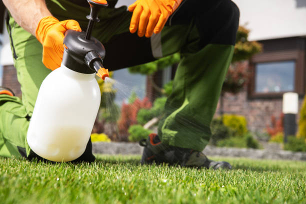 Best Spider Control Near Me  in Lake Bluff, IL
