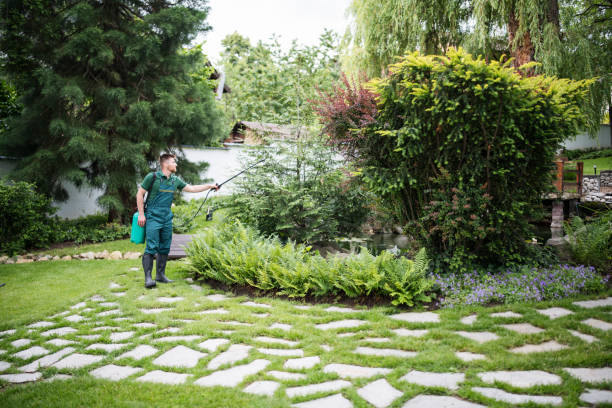 Best Local Pest Control Services  in Lake Bluff, IL
