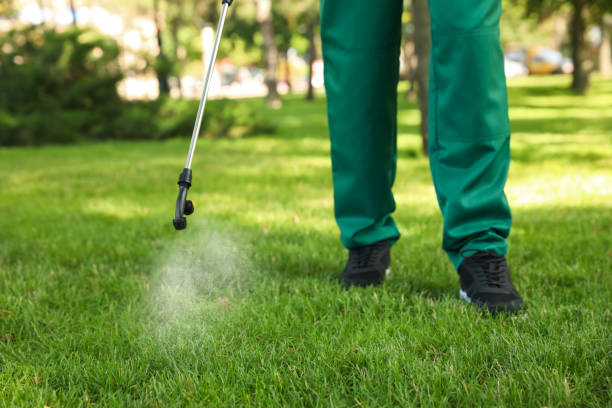 Best Pest Control Near Me  in Lake Bluff, IL