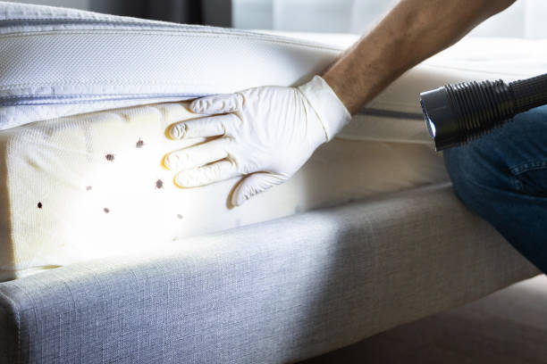 Best Pest Inspection Near Me  in Lake Bluff, IL