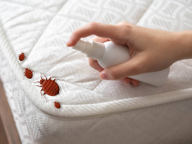 Best Wasp Removal Services  in Lake Bluff, IL