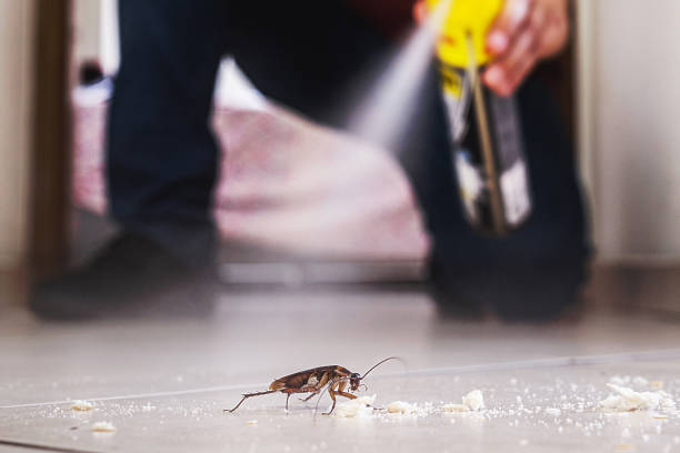 Best Pest Removal Services  in Lake Bluff, IL